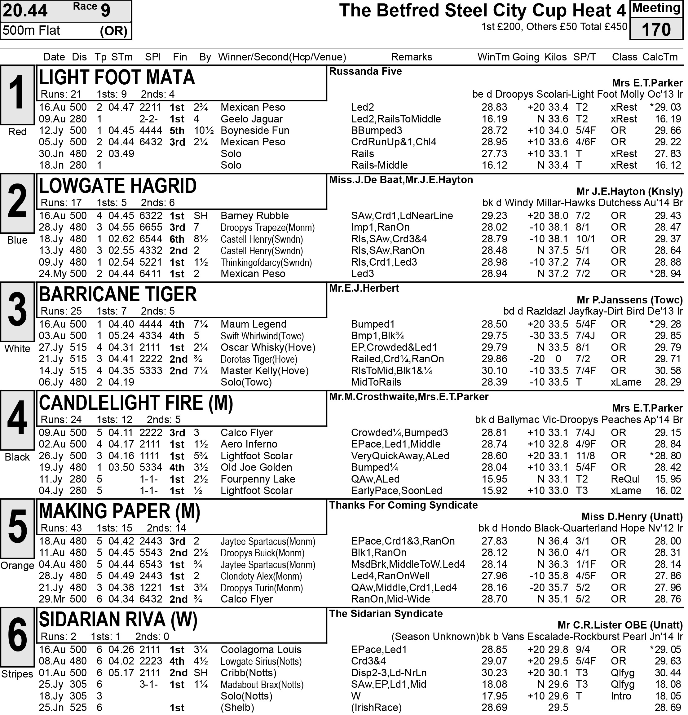 Holdem chico greyhound