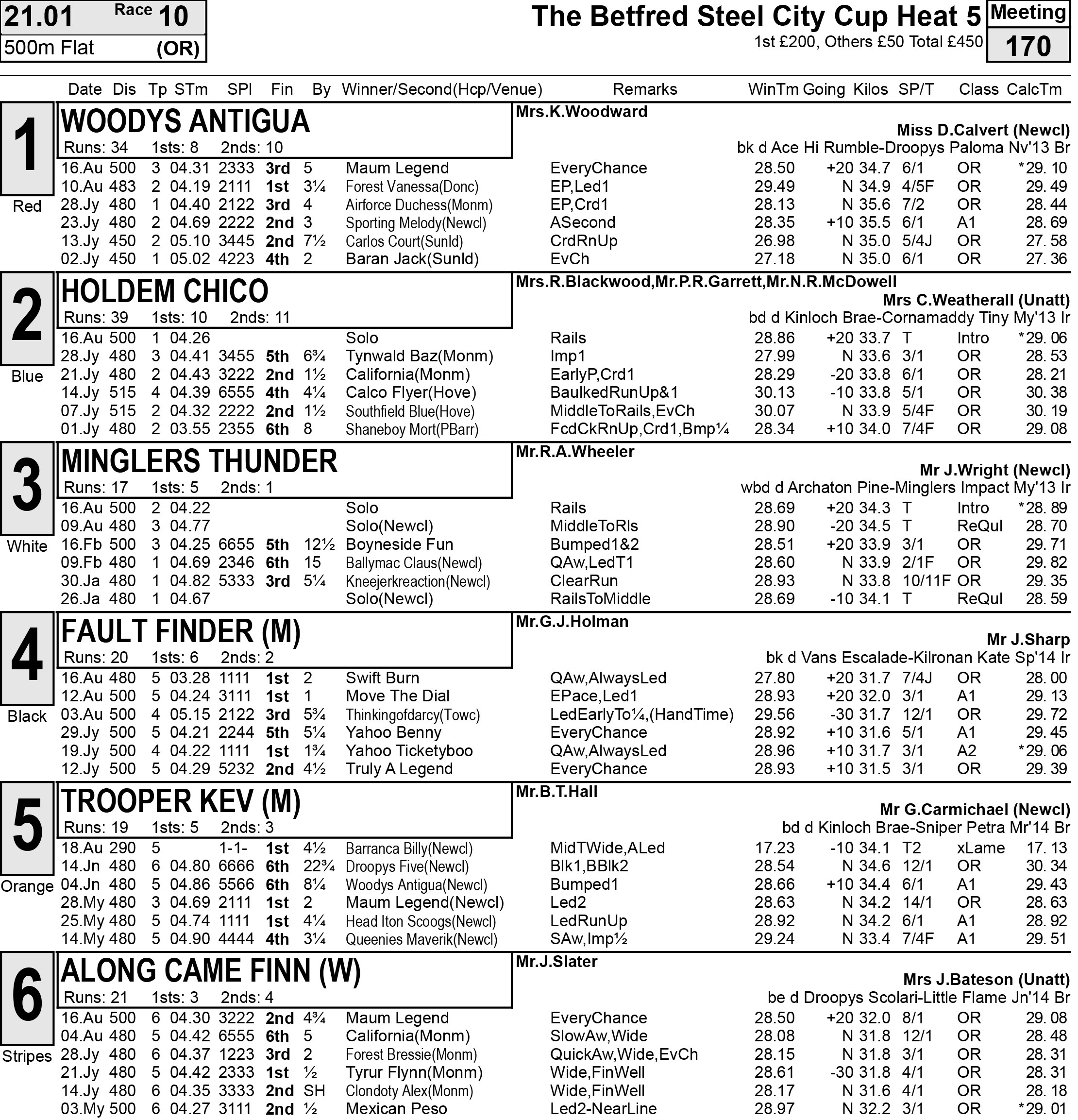 Holdem chico greyhound