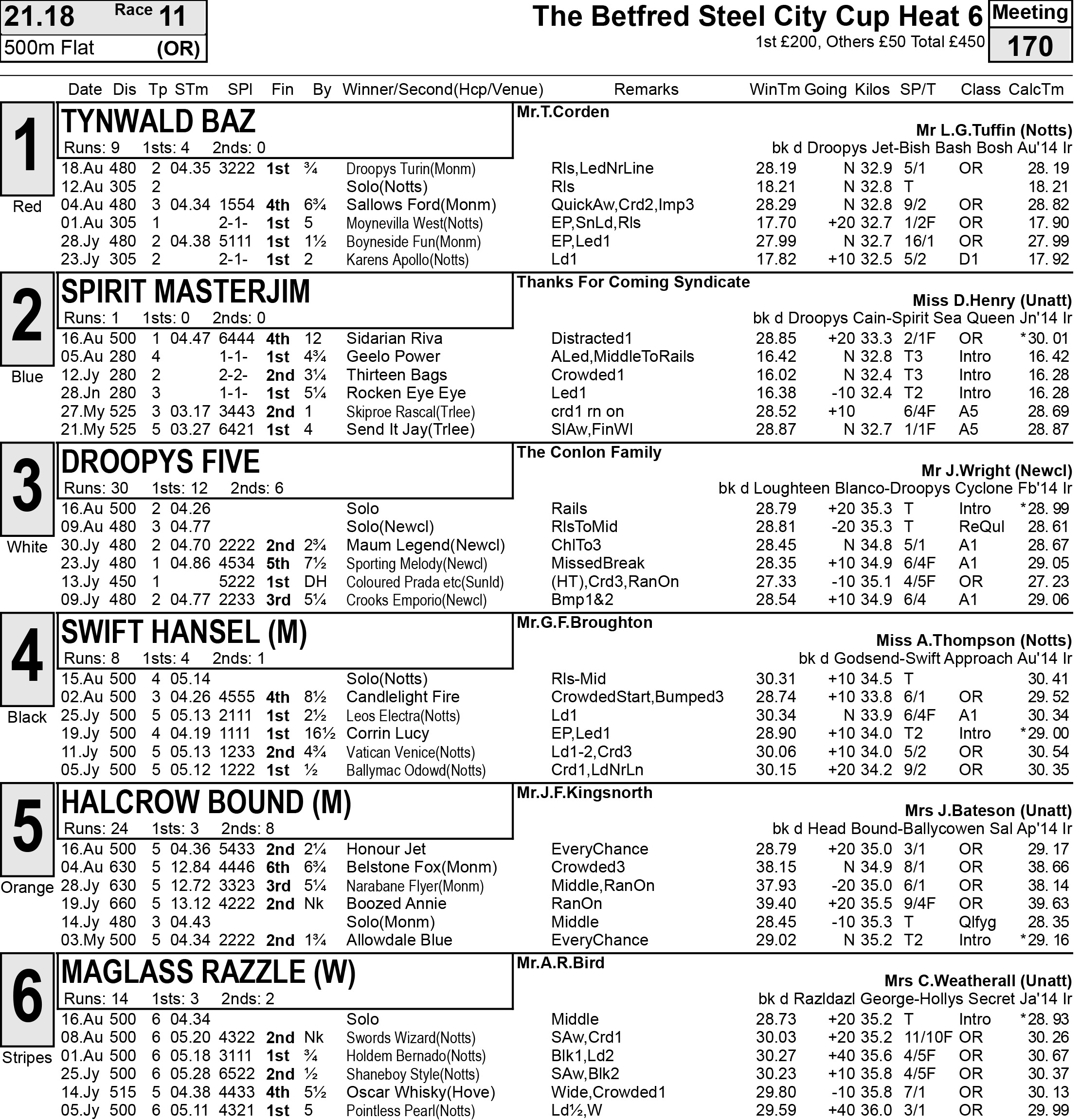Holdem chico greyhound