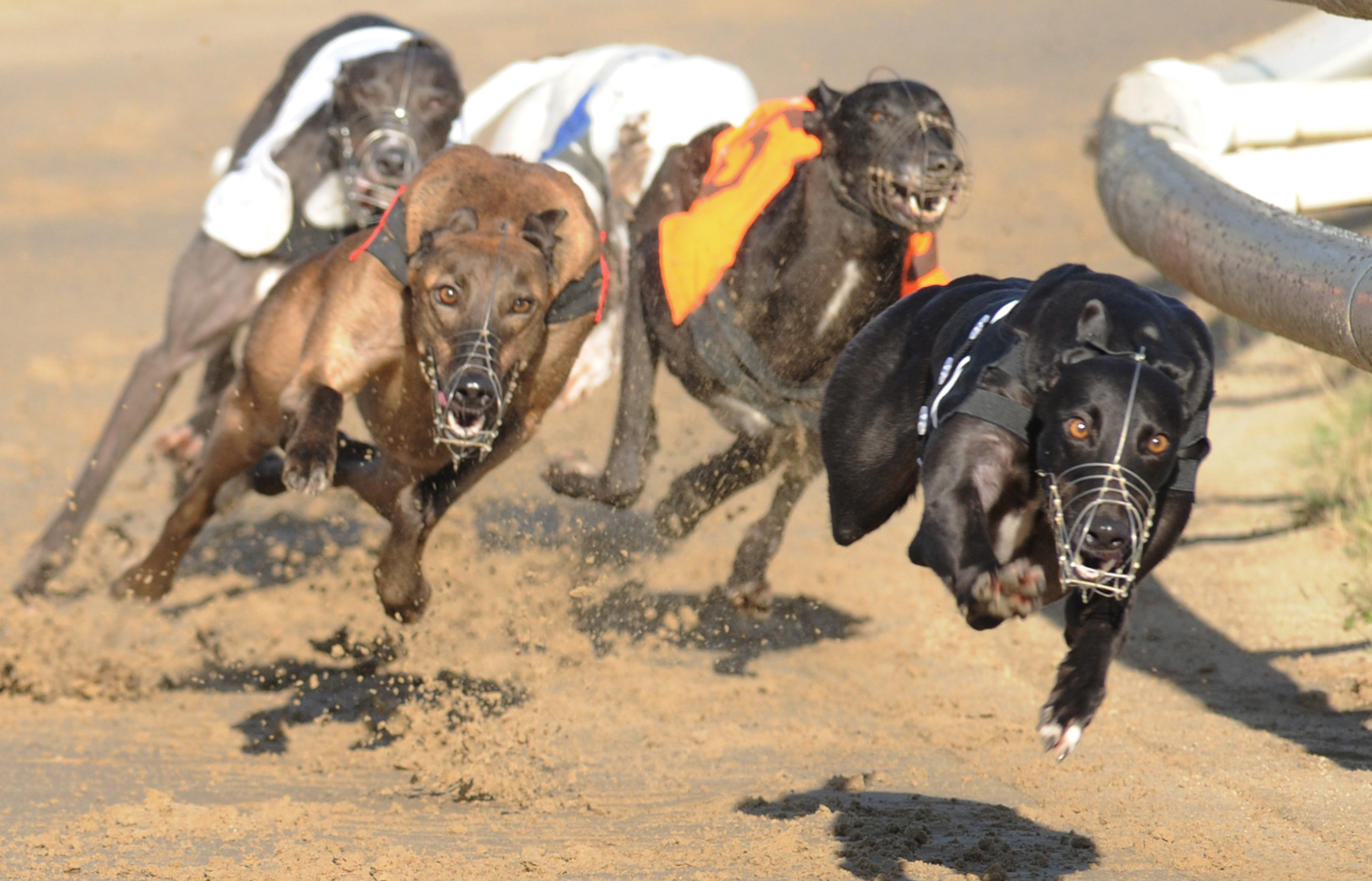 Sheffield score with Russanda Roslea (who also won at the Sunderland leg for Elaine Parker) as she leads early in the Bitches contest. Bags SIS Track Championship (North). Belle Vue 5th October 2016. Photo: Steve Nash