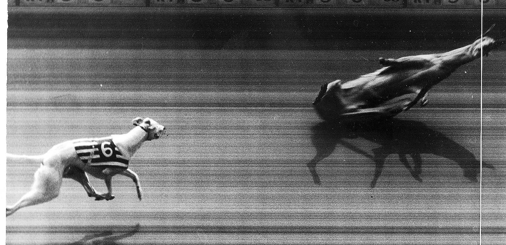 This picture from Stamford Bridge shows one of the most unusual photo finishes of all time