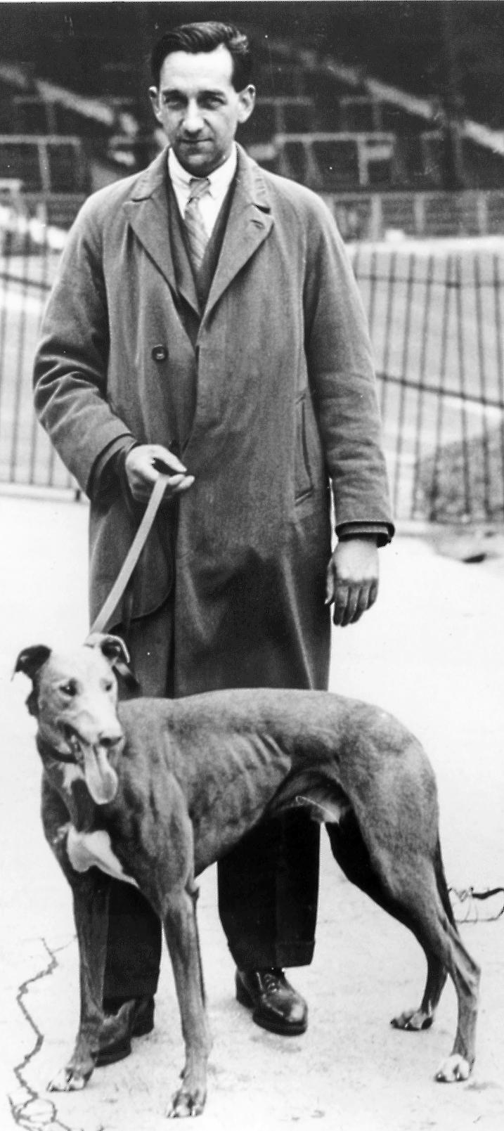 REMEMBER WHEN WIMBLEDON PART 2 Greyhound Star News from the