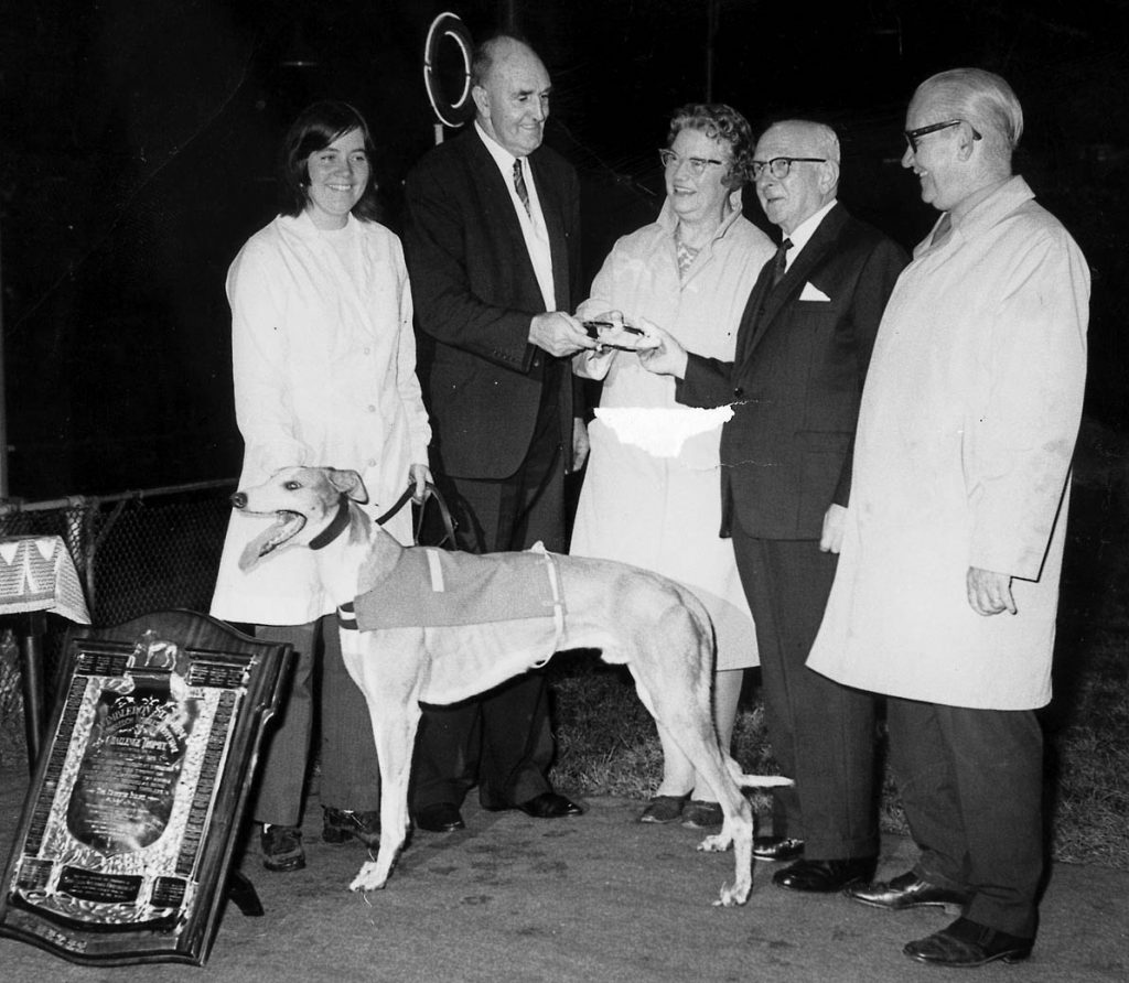 1971 March 10 Probably the best four hurdlers since greyhound racing began are assembled in the Supreme Hurdles Champion Stakes over 525 yards at London White City. The line up is trap 1 Adamstown Valley, 3 Sherry’s Prince, 4 Afore Ye Go, 6 Derry Palm. Derry Palm (O’Leary-Fannie Ceasar, Mar 67) was fast away on the outside, but was soon joined by Sherry’s Prince (Mad Era-Nevasca, Apr 67) who went into the lead at the second bend chased by Derry Palm. The latter gradually began to claw back the deficit. They jumped the last hurdle together and raced to the line with Derry Palm 2-1 just getting the verdict by a short head form Sherry’s Prince (9-4) with 7-4 favourite Afore Ye Go back in third in a time of 29.64. Our picture shows Mr & Mrs Perkins, the owners of Derry Palm, collecting the Perpetual Challenge Trophy from David Reeden. Also in picture are trainer Phil Rees and the young kennel girl Ann Mahon