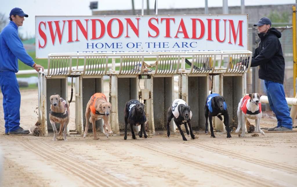 Race and staff opportunities at Swindon Greyhound Star News from