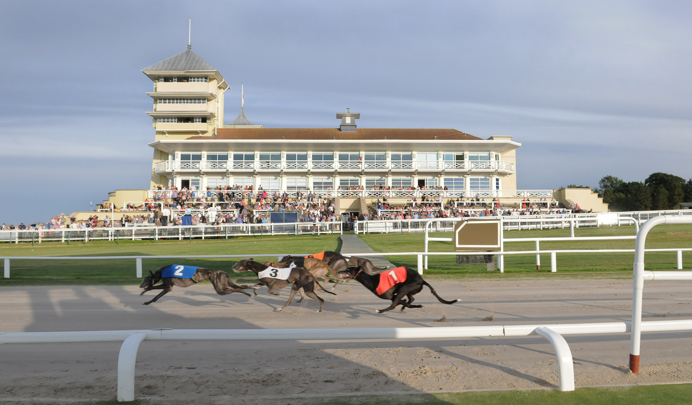 Towcester view racing options Greyhound Star News from the