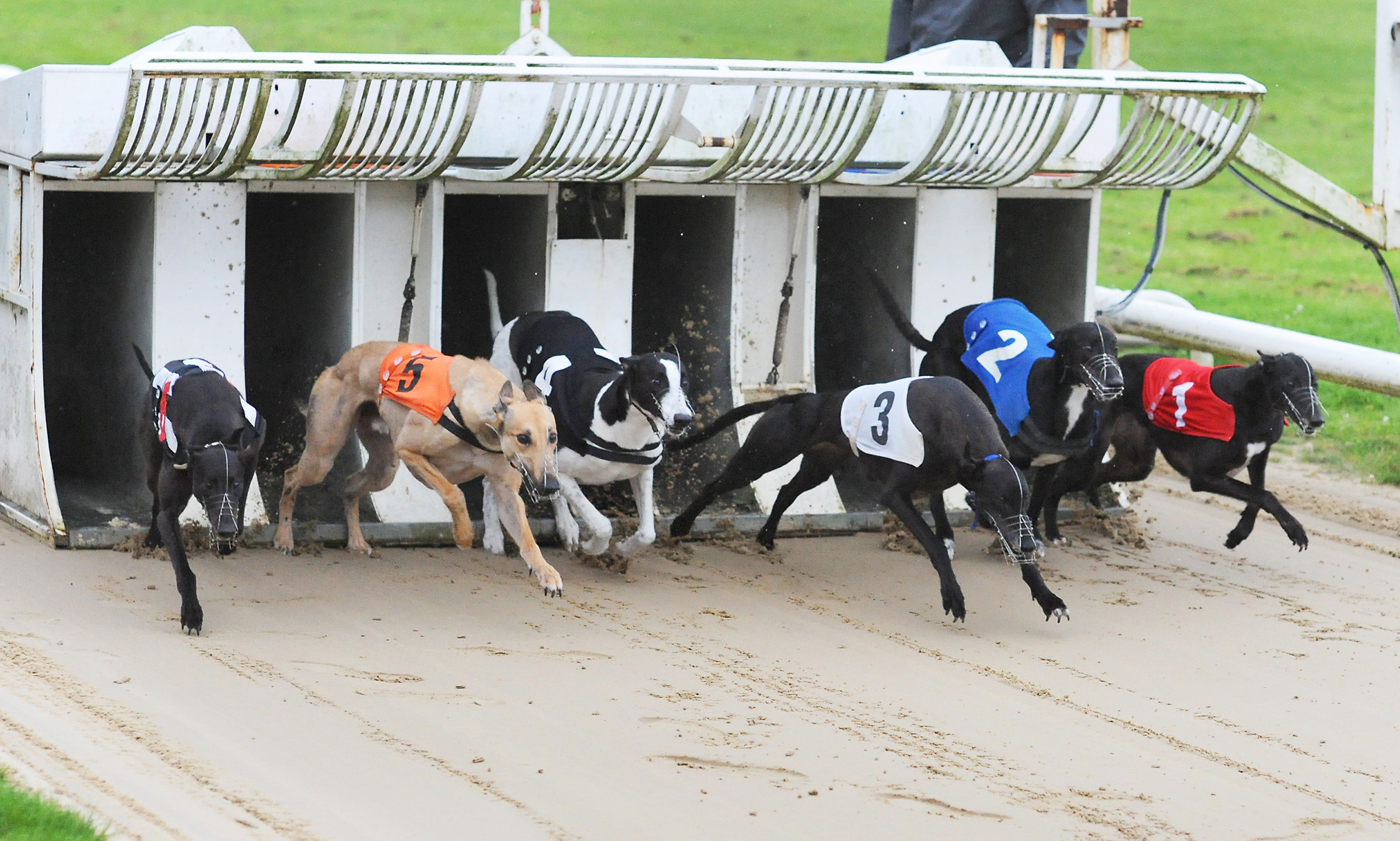 DERBY FINAL DRAW TIME TO RETHINK SEEDING AND HOW DRAWS ARE DONE