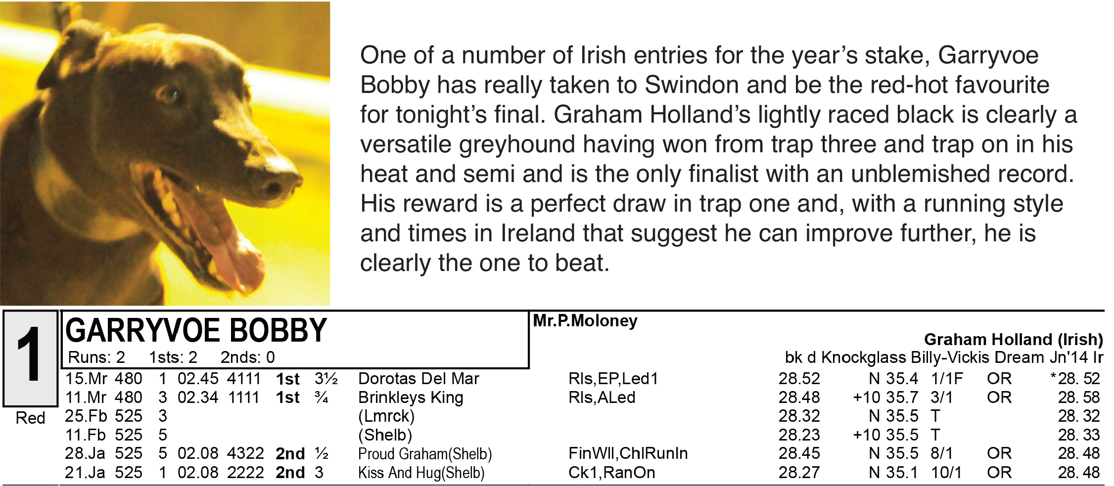 PROFILES OF TONIGHT'S CALNE RACING ARC FINALISTS - Greyhound Star ...