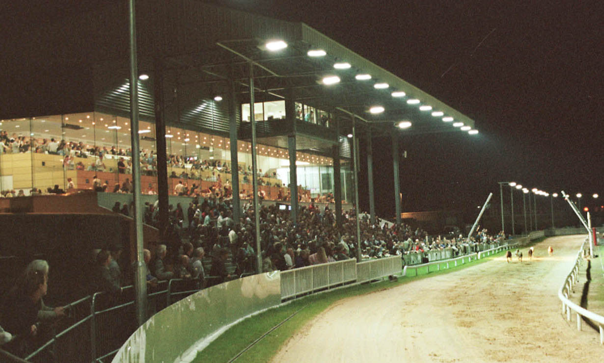 Taggart 'It is 46 on Harolds Cross being reopened' Greyhound Star