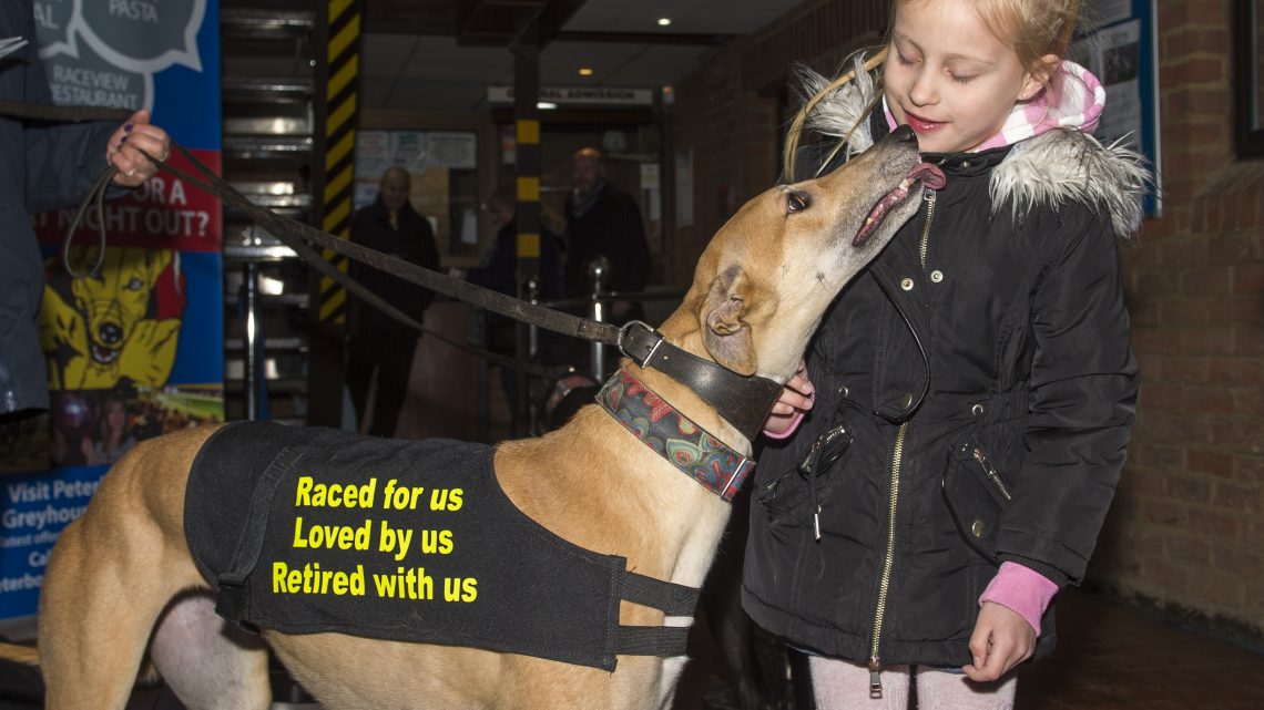 Peterborough Greyhound Fund Host Meet and Greet at Peterborough