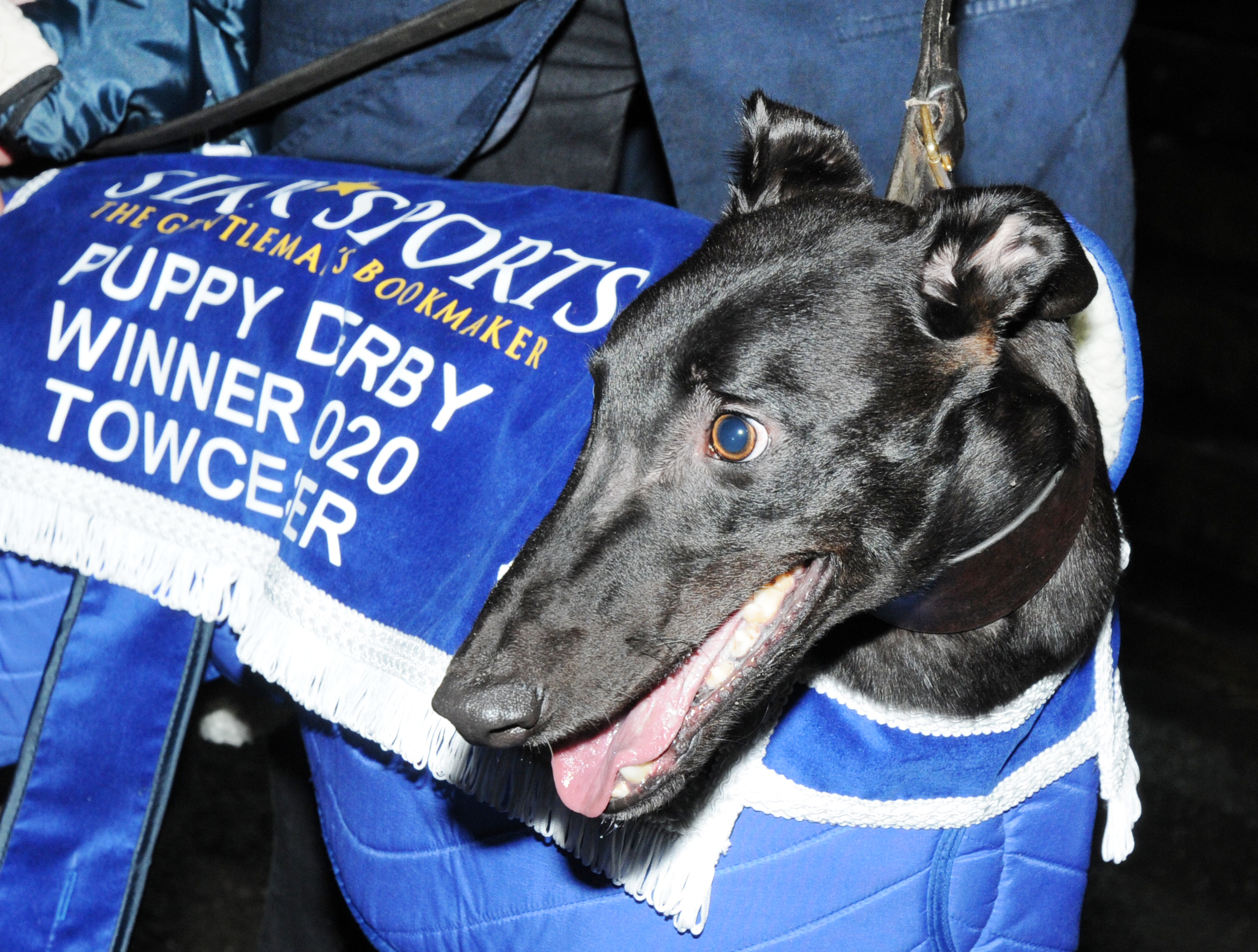 BRITISH PERFORMANCE OF THE WEEK Greyhound Star News from the