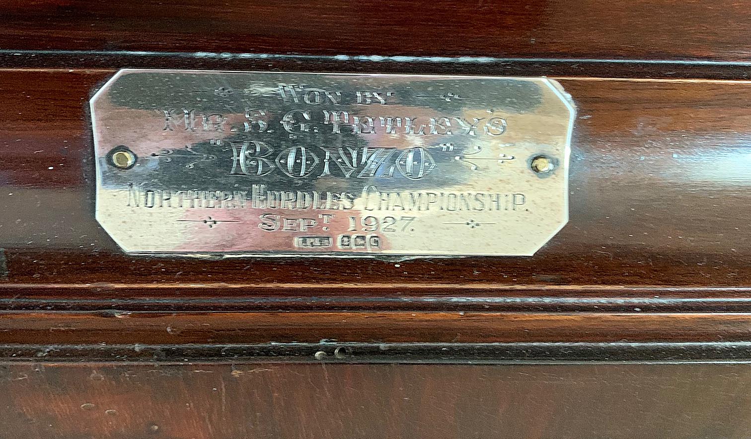 NOW THAT'S A TROPHY! - Greyhound Star | News from the Greyhound Industry