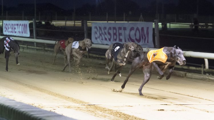 13+ Greyhound results yarmouth best advice