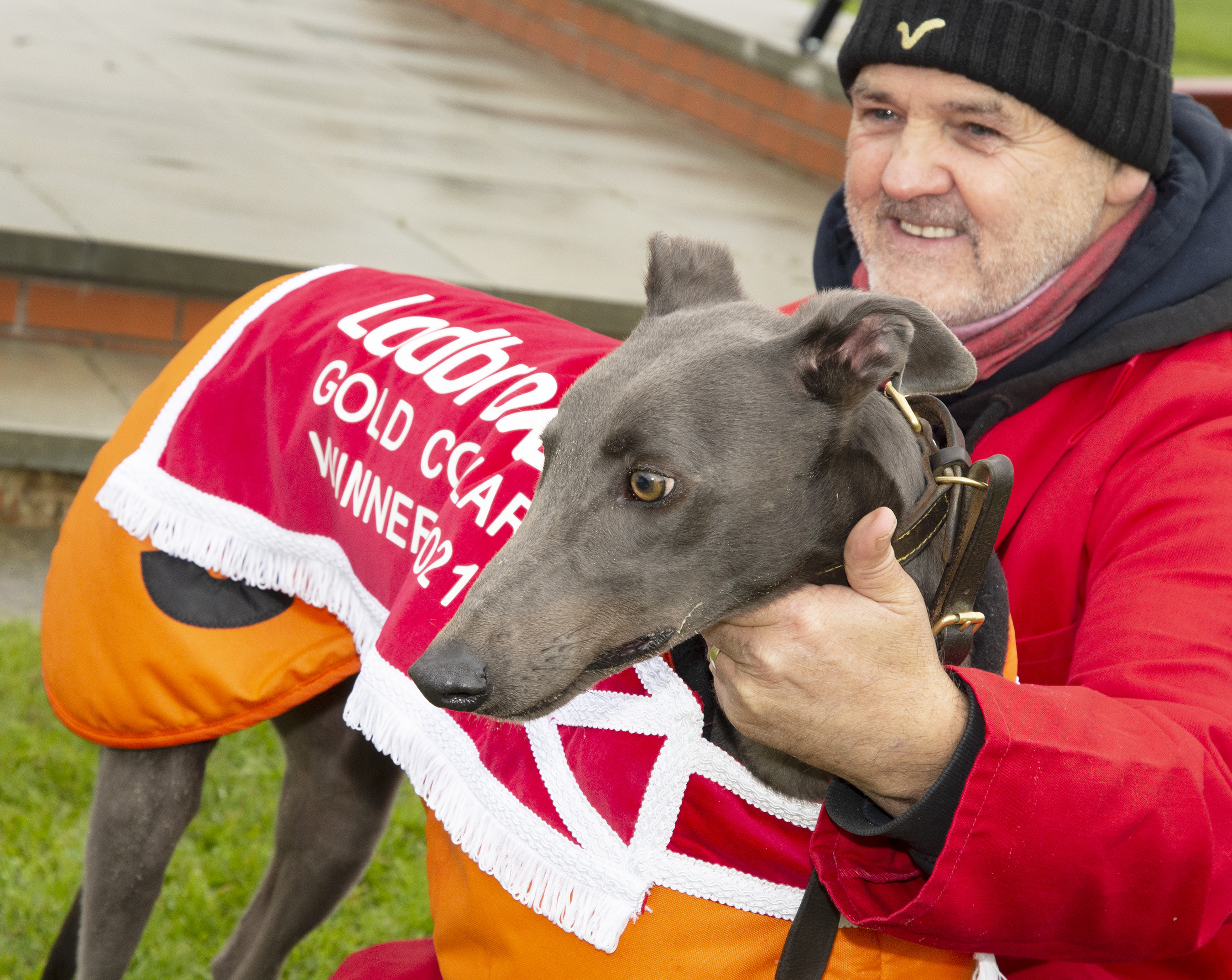 Best Mcnair Day Ever Greyhound Star News From The Greyhound Industry