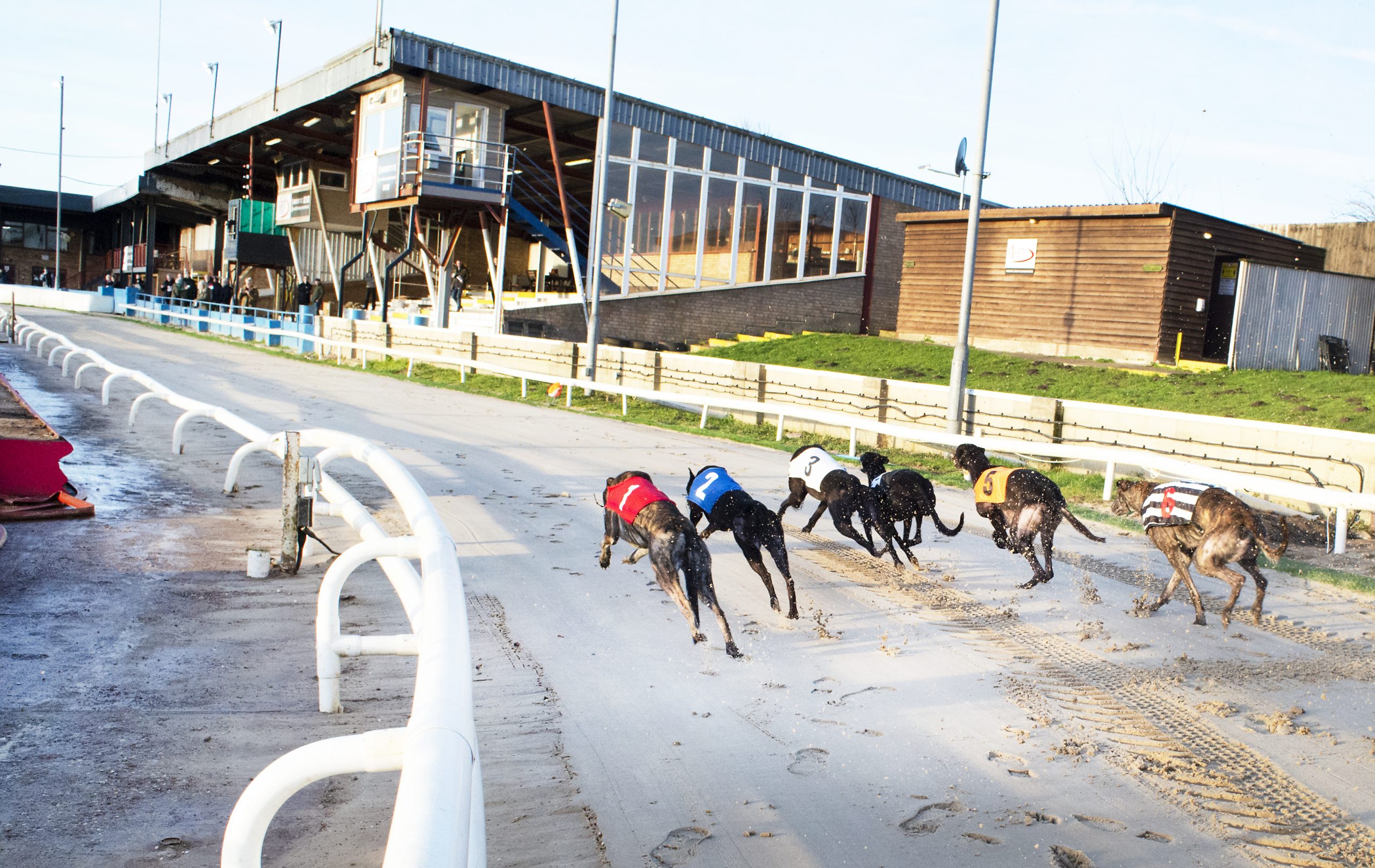 SUFFOLK DOWNS IS UP AND RUNNING - Greyhound Star News from the