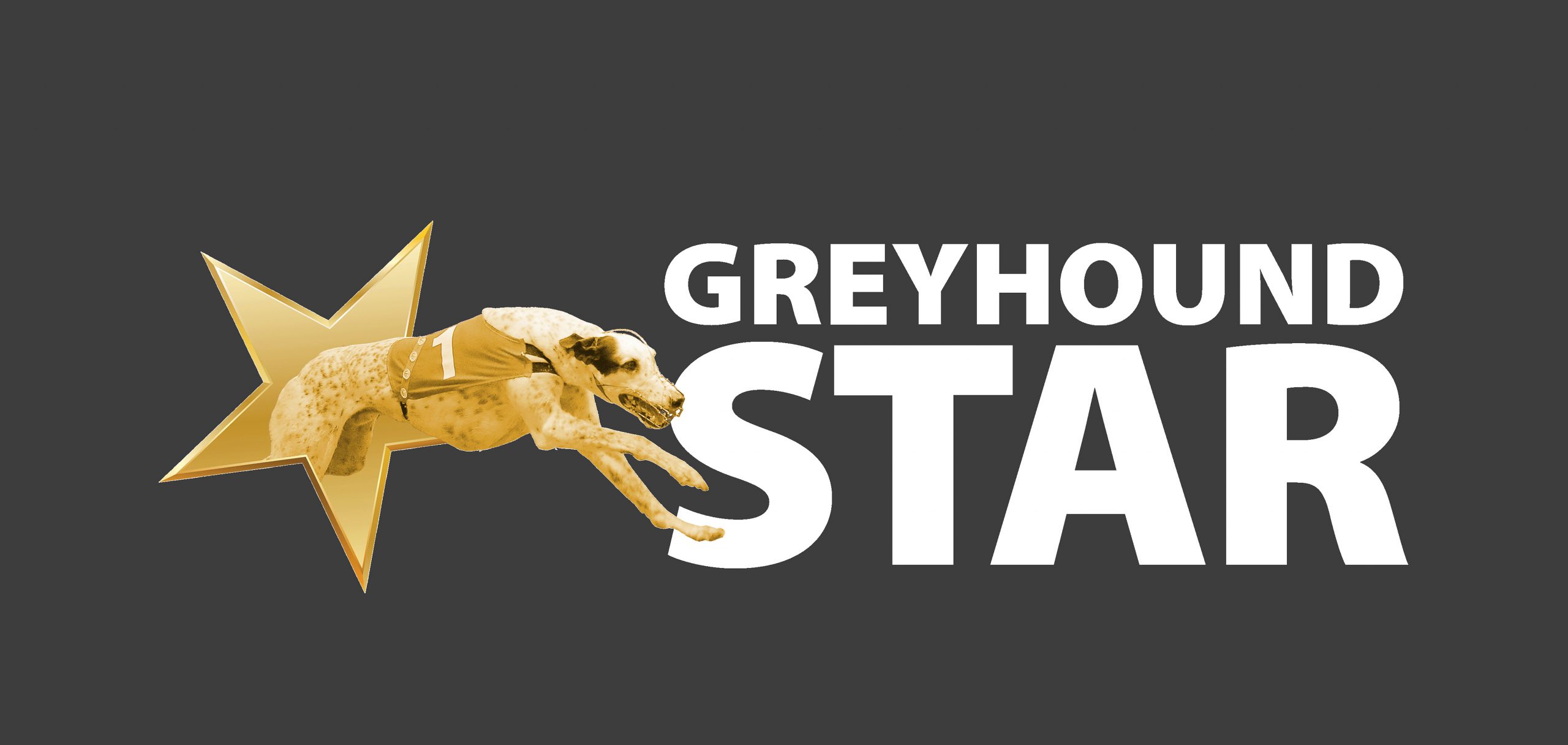Greyhound Star Website Greyhound Star News From The Greyhound Industry 4483