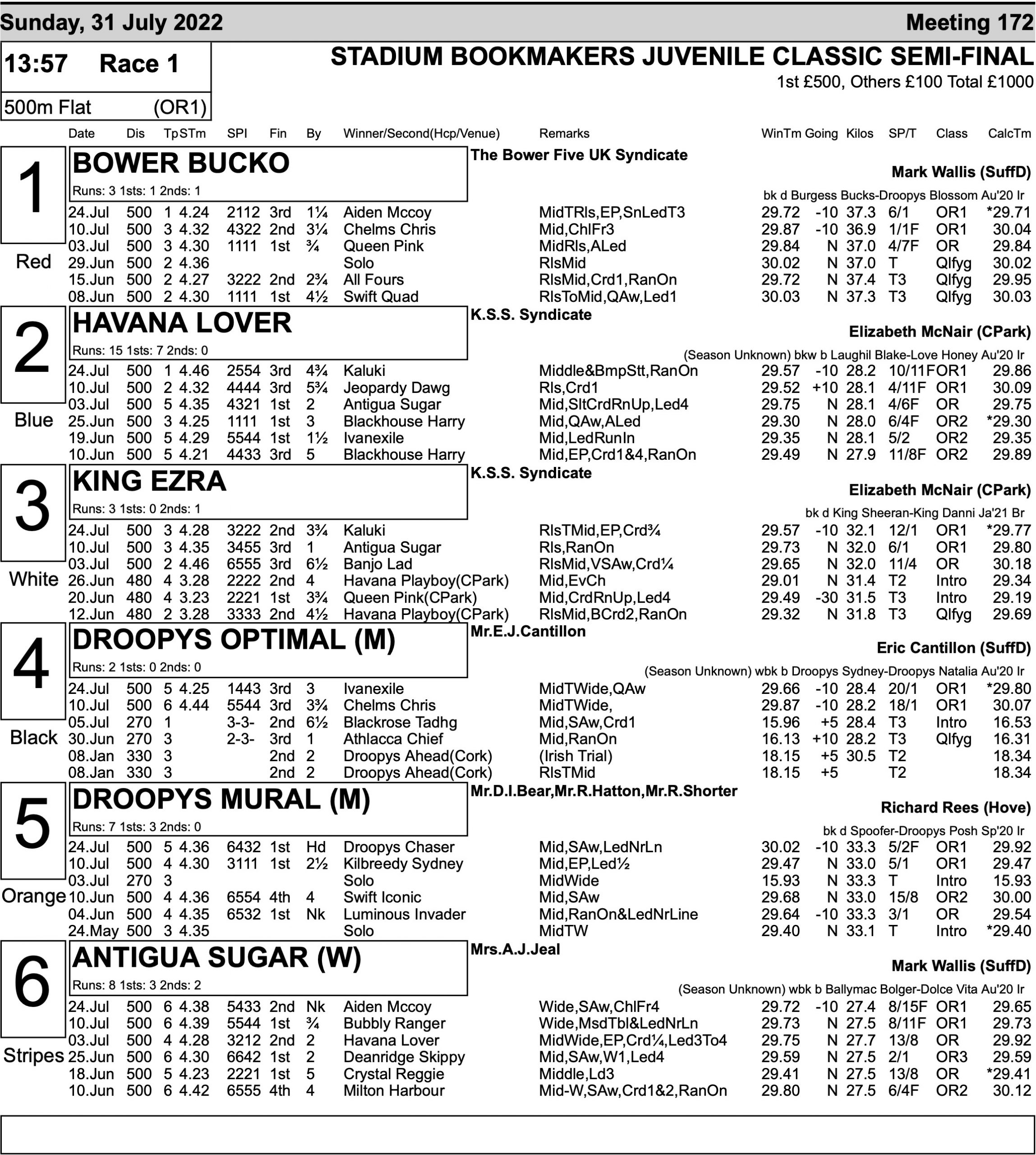 JUVENILE CLASSIC SEMIS - Greyhound Star | News from the Greyhound Industry