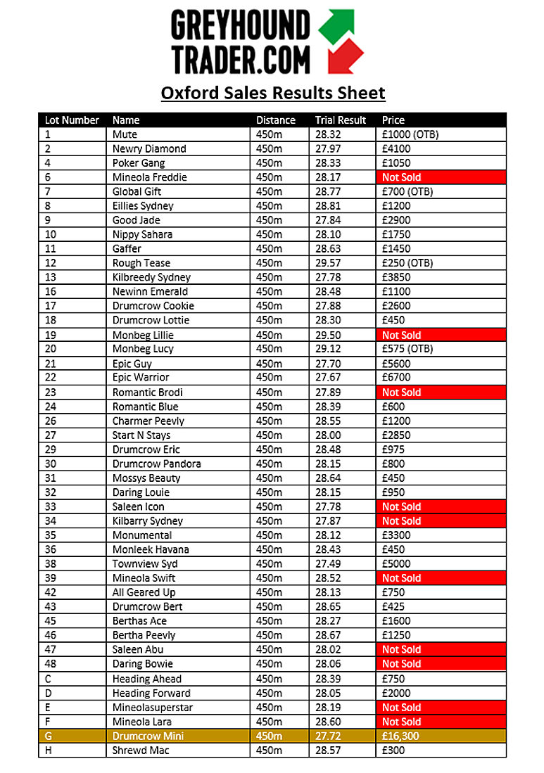 British Sales record smashed at Oxford! Greyhound Star News from