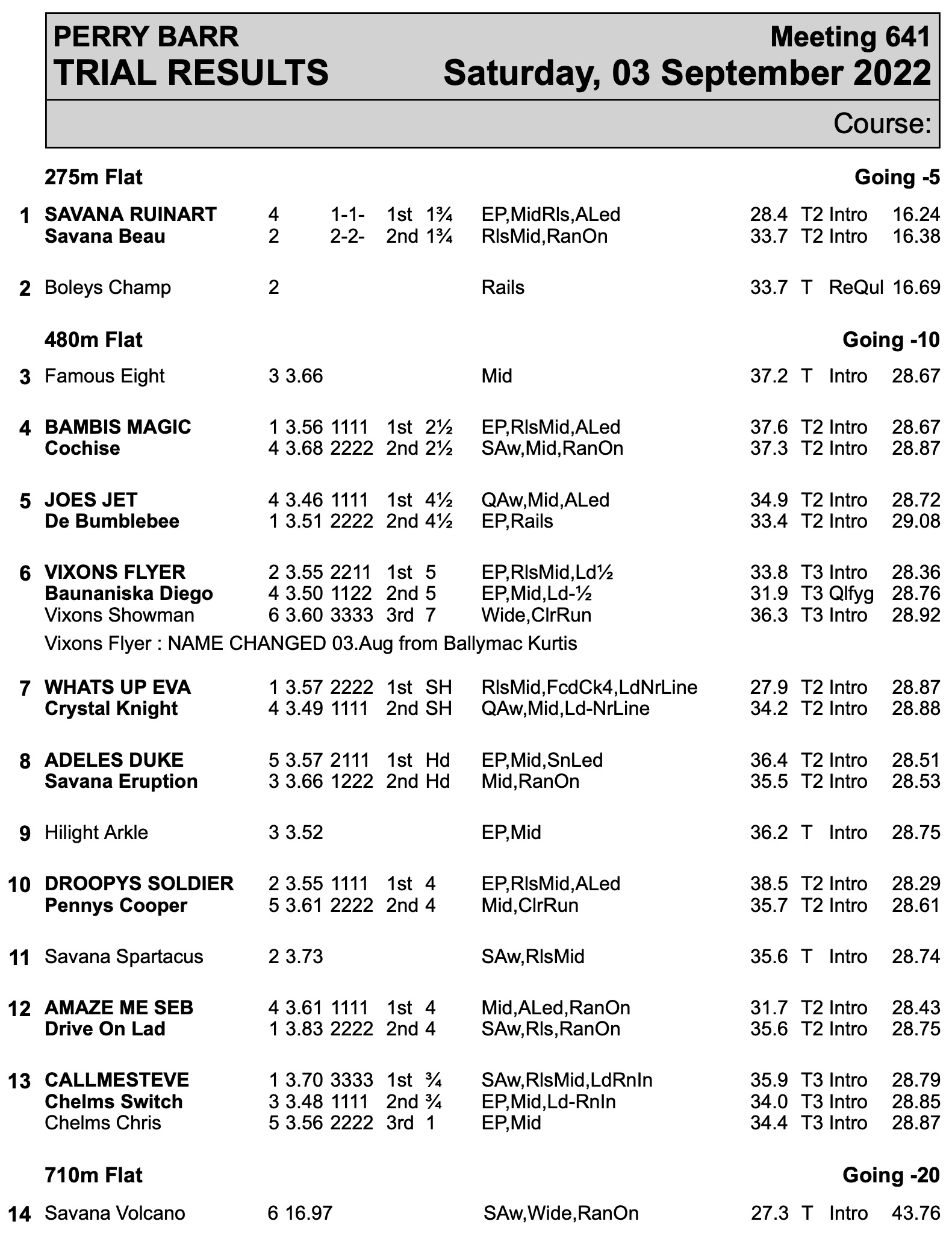 PERRY BARR TRIALS TODAY Greyhound Star News from the Greyhound Industry