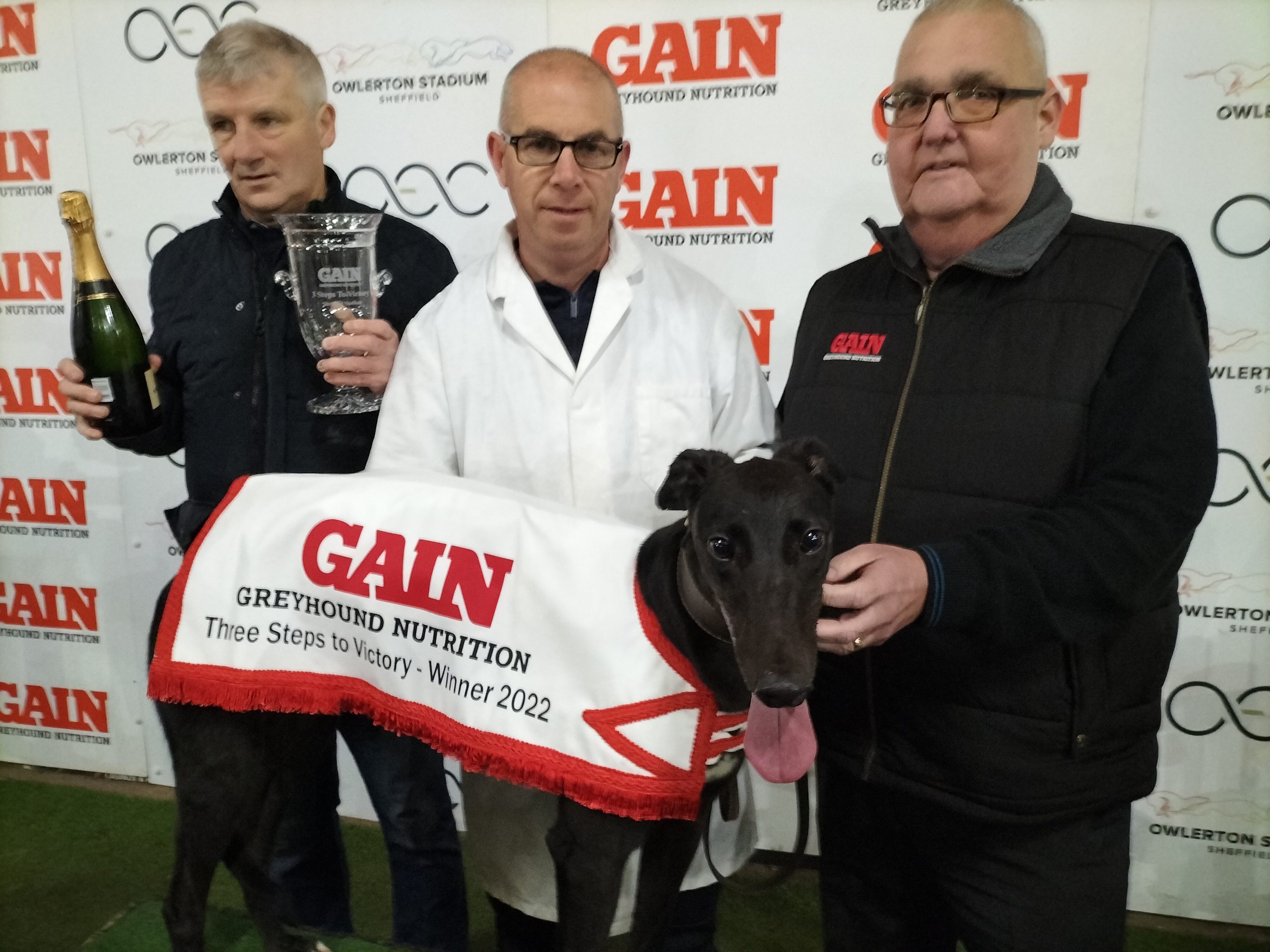 Shane Ana Gorman Awards Glory For Shane O'Gorman - Greyhound Star | News from the ...