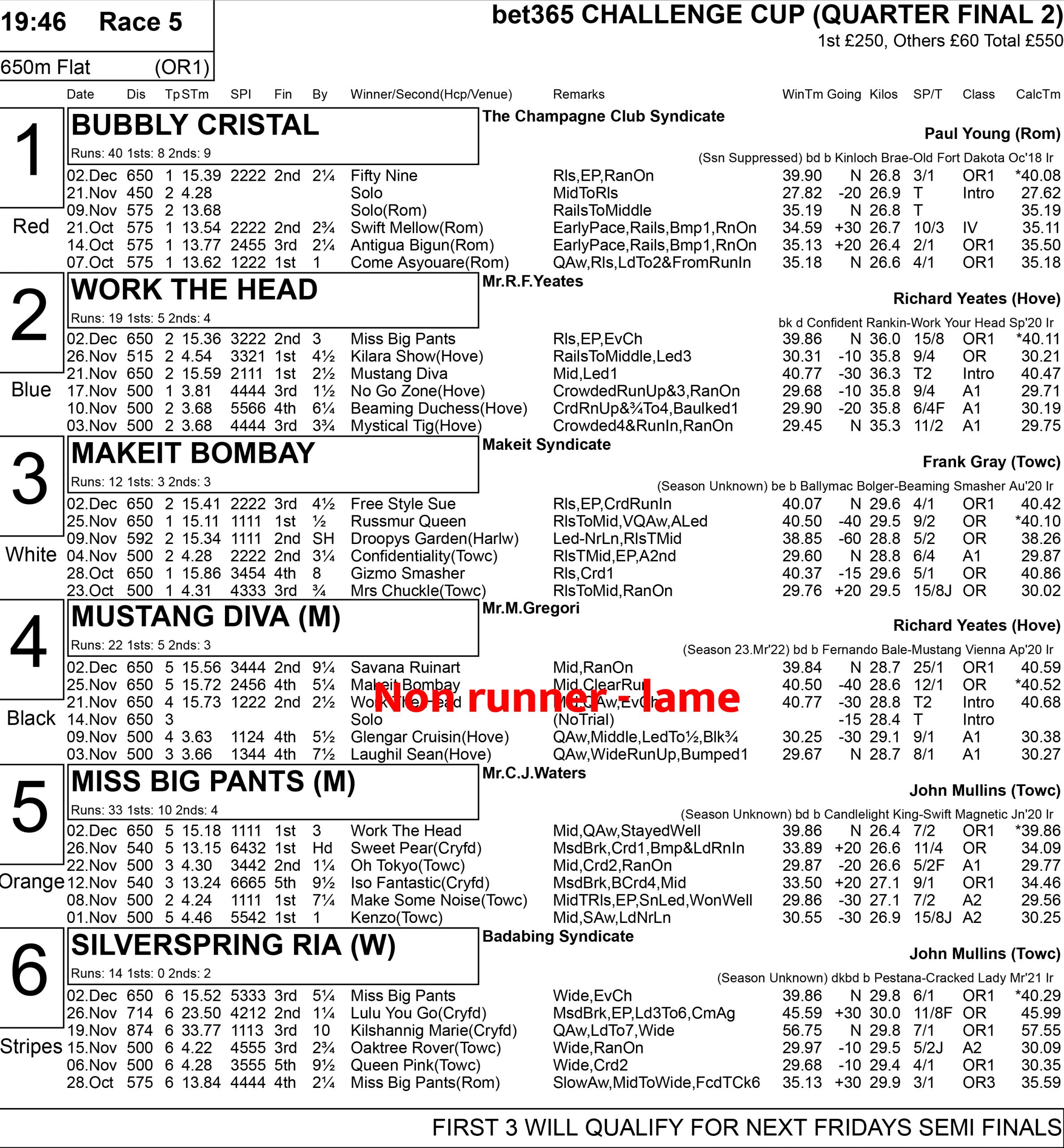 BET365 CHALLENGE CUP FULL FORM Greyhound Star News from the