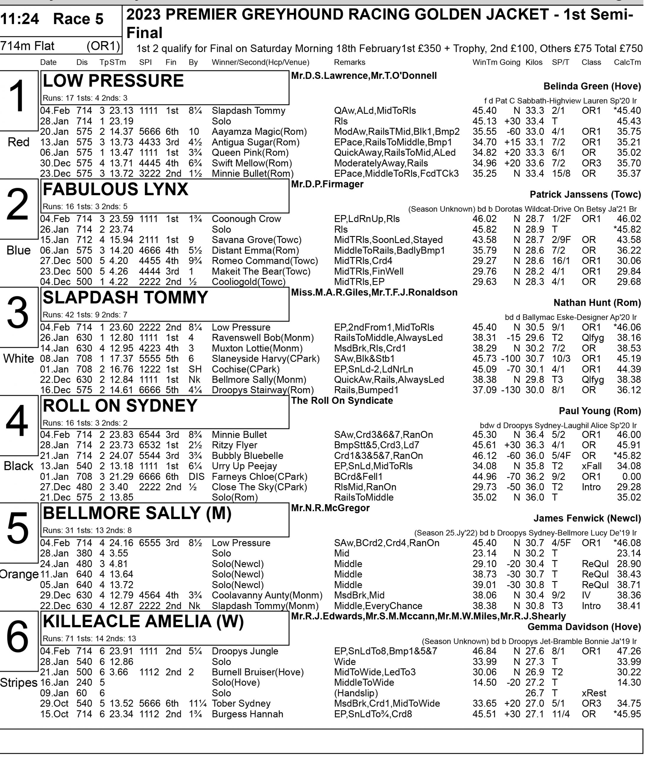 GOLDEN JACKET SEMI FINAL PREVIEW Greyhound Star News from the