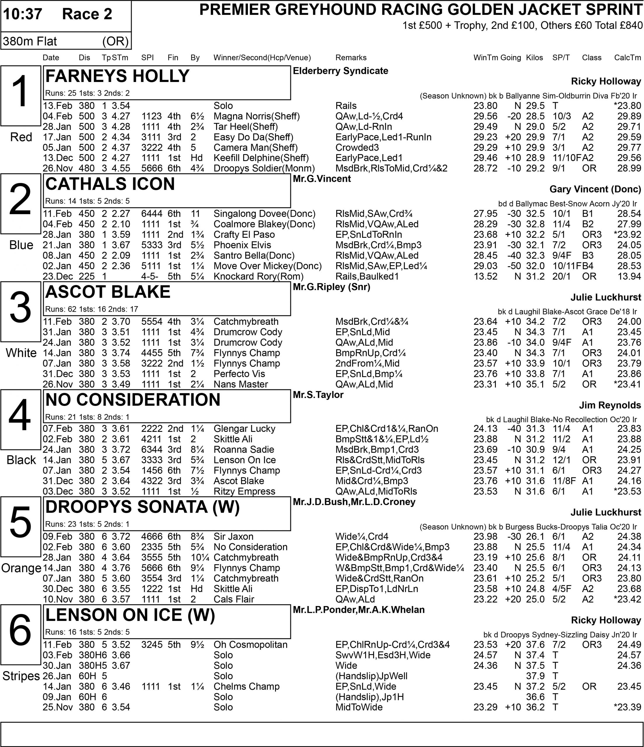 GOLDEN JACKET PREVIEW Greyhound Star News from the Greyhound Industry