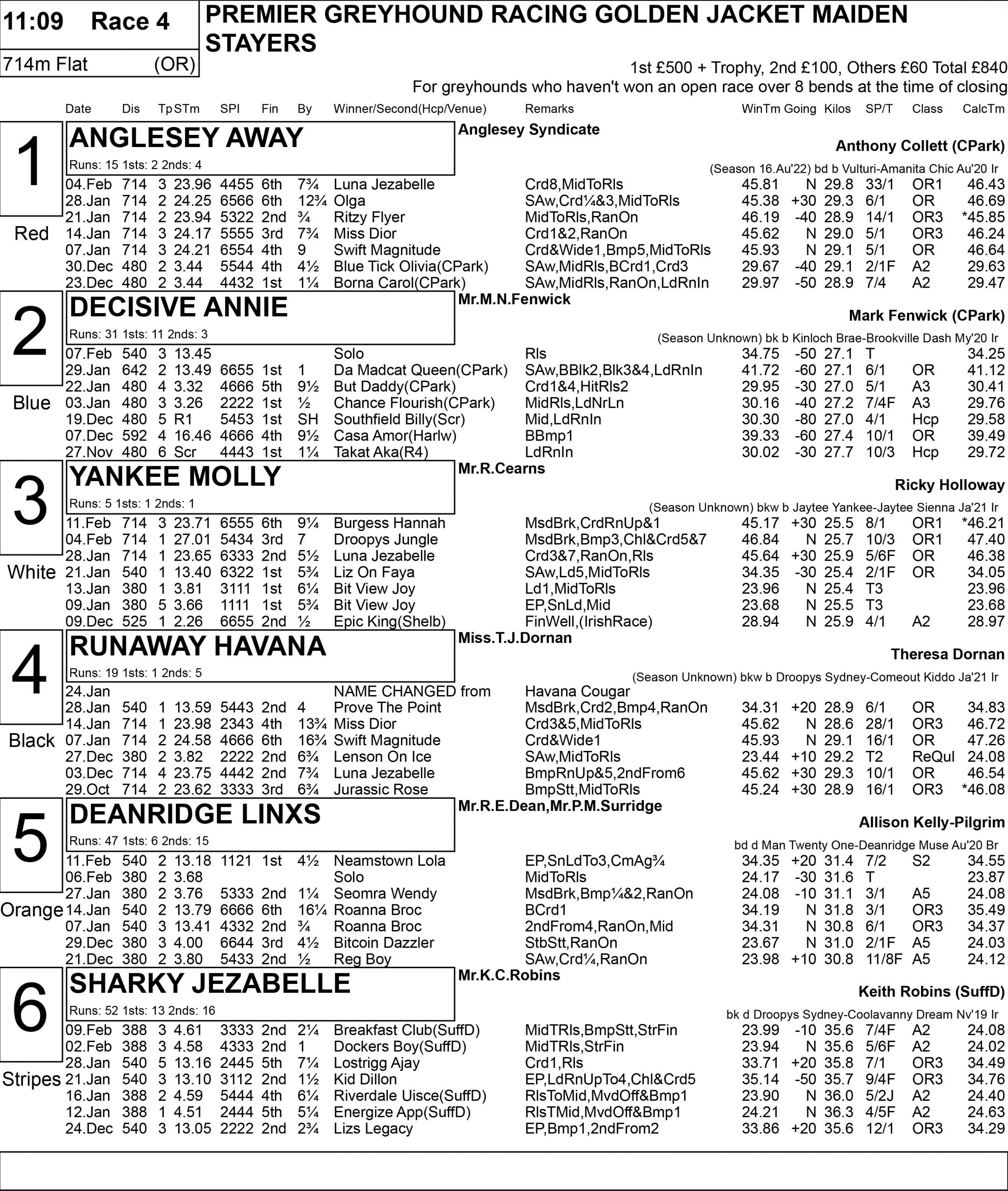 GOLDEN JACKET PREVIEW Greyhound Star News from the Greyhound Industry