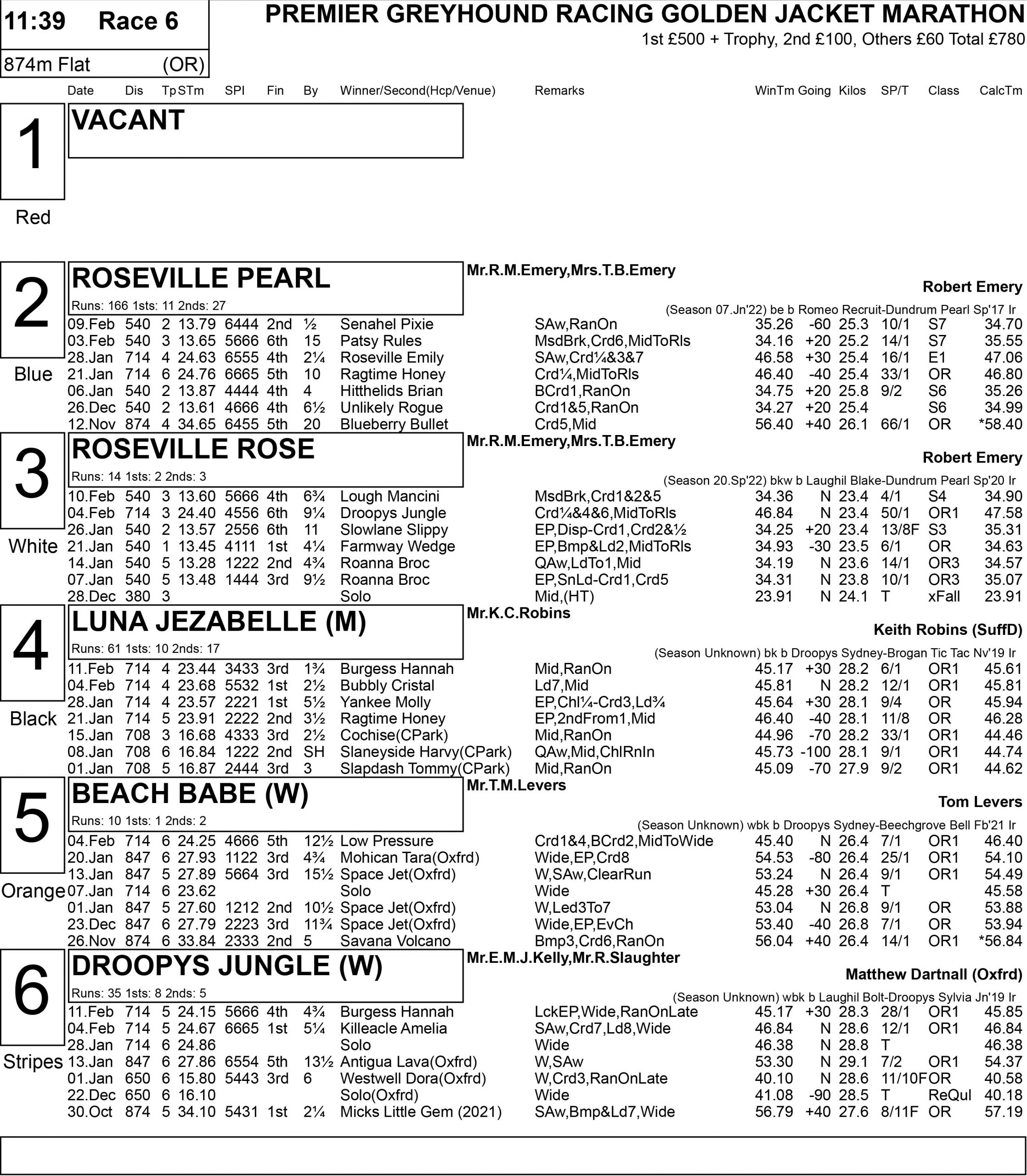 GOLDEN JACKET PREVIEW Greyhound Star News from the Greyhound Industry
