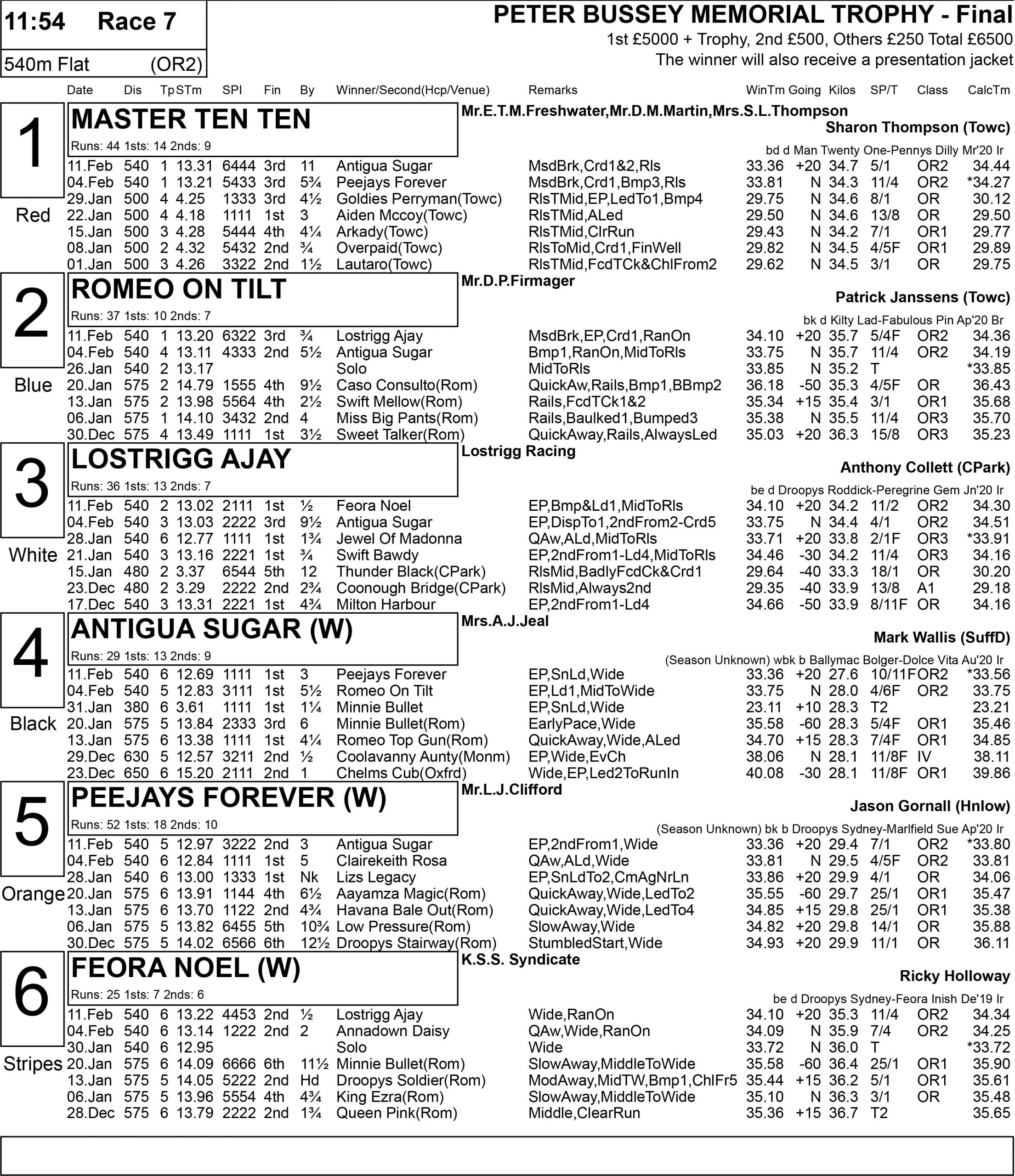 GOLDEN JACKET PREVIEW Greyhound Star News from the Greyhound Industry