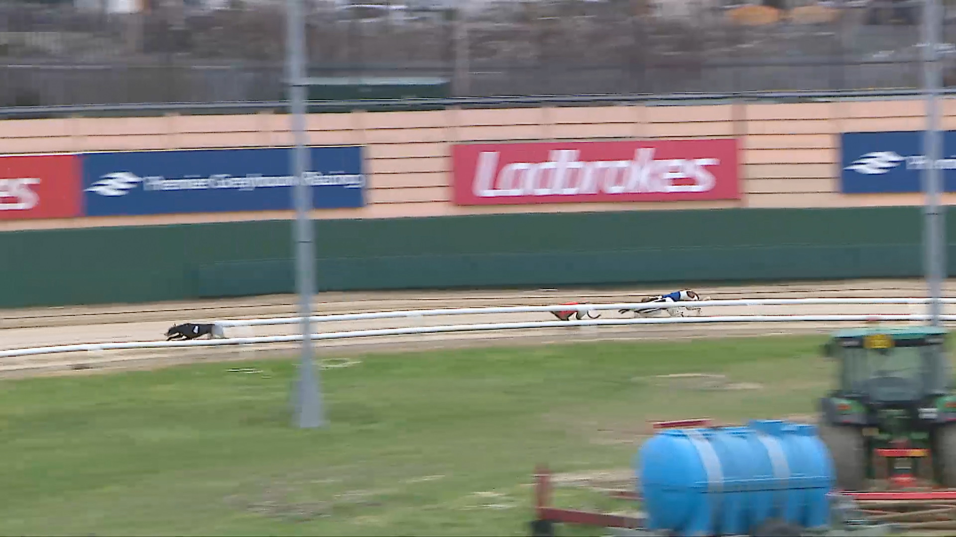 GOLDEN JACKET SEMI FINAL PREVIEW Greyhound Star News from the