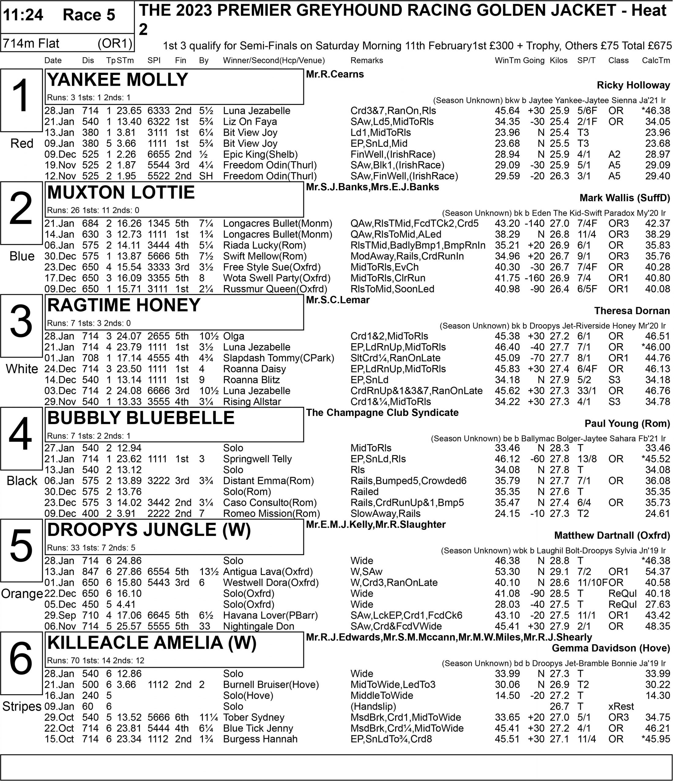 GOLDEN JACKET FULL FORM Greyhound Star News from the Greyhound