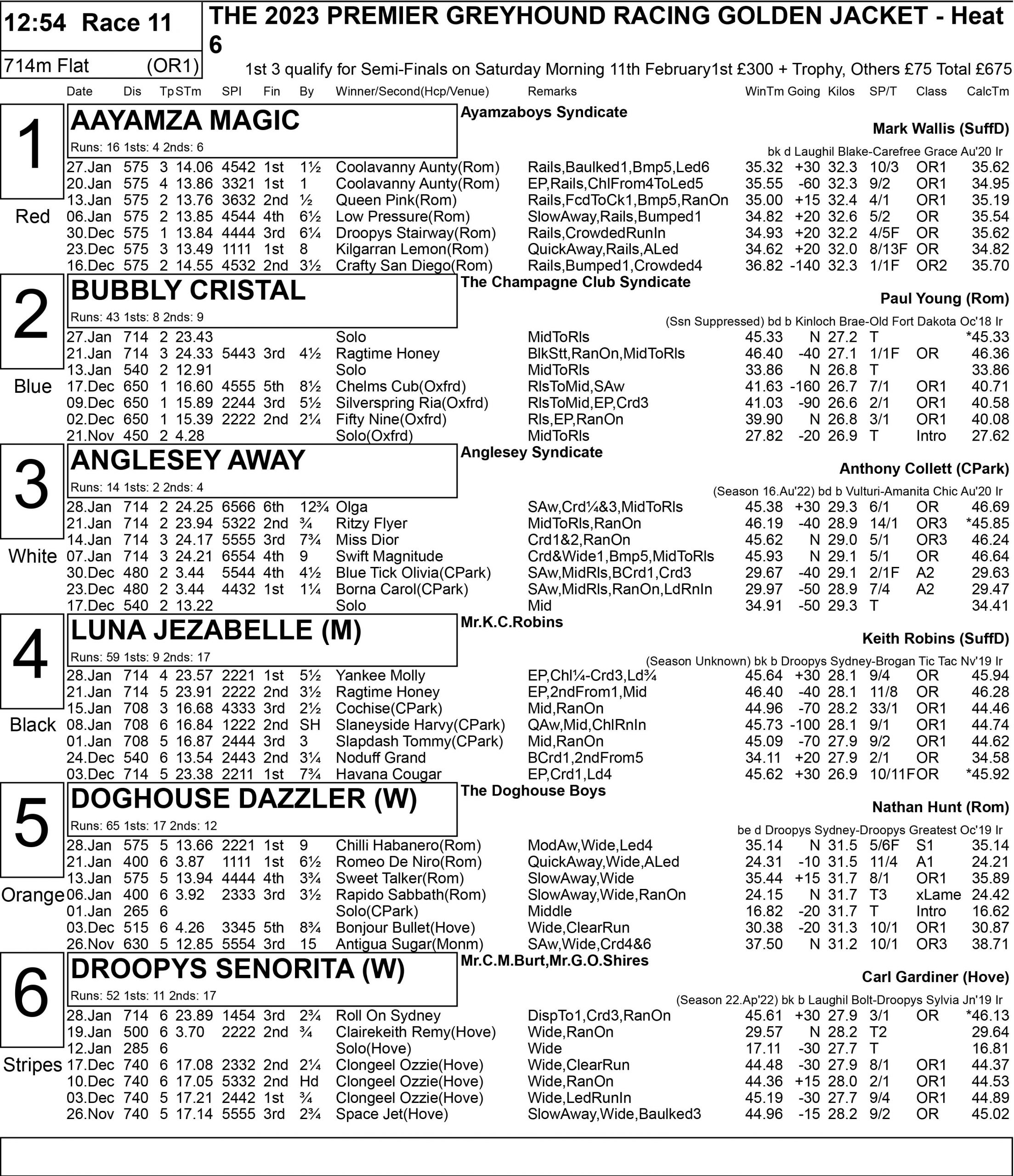 GOLDEN JACKET FULL FORM Greyhound Star News from the Greyhound