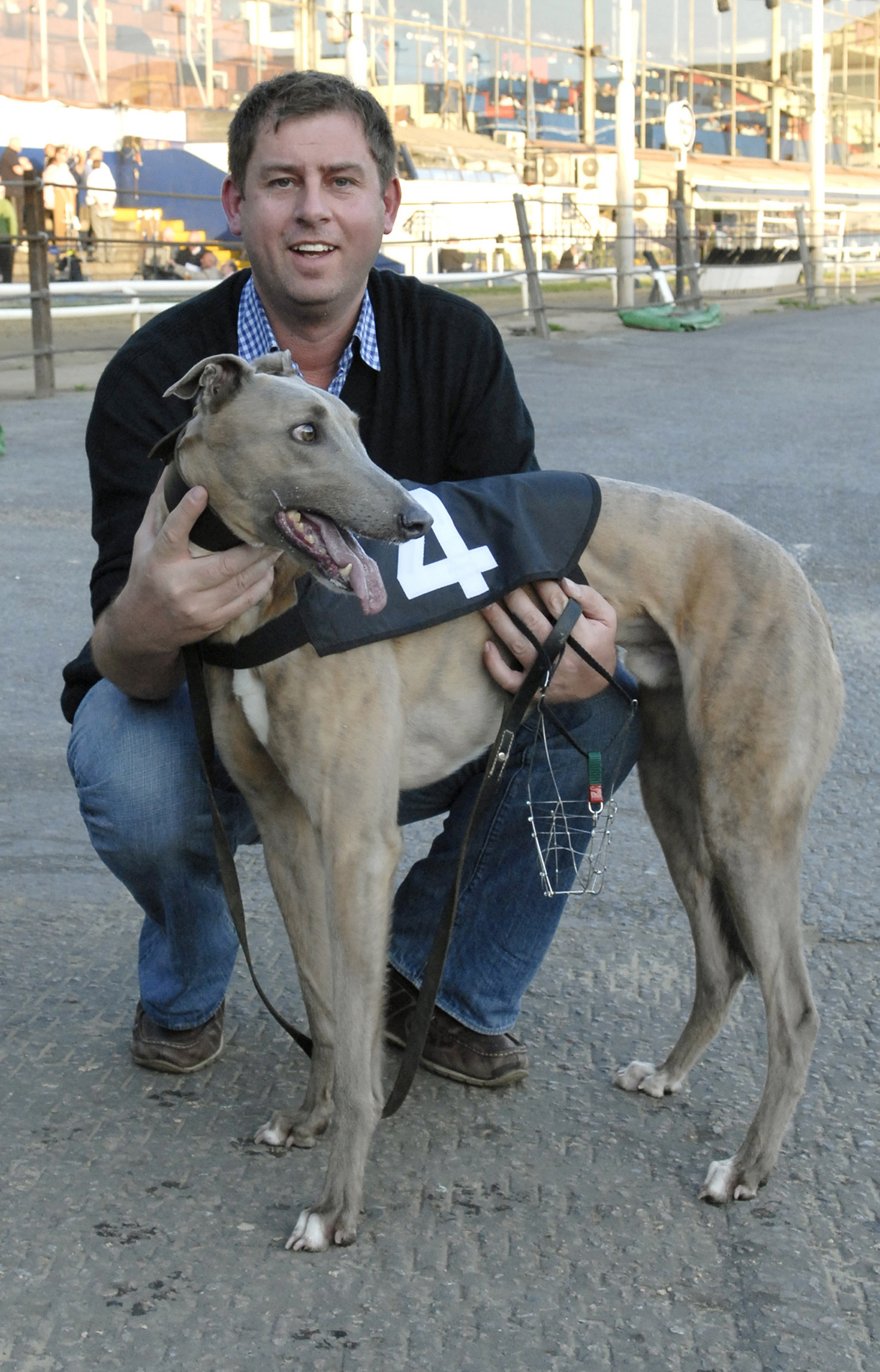 Pat Curtin Greyhound Star News From The Greyhound Industry 8369