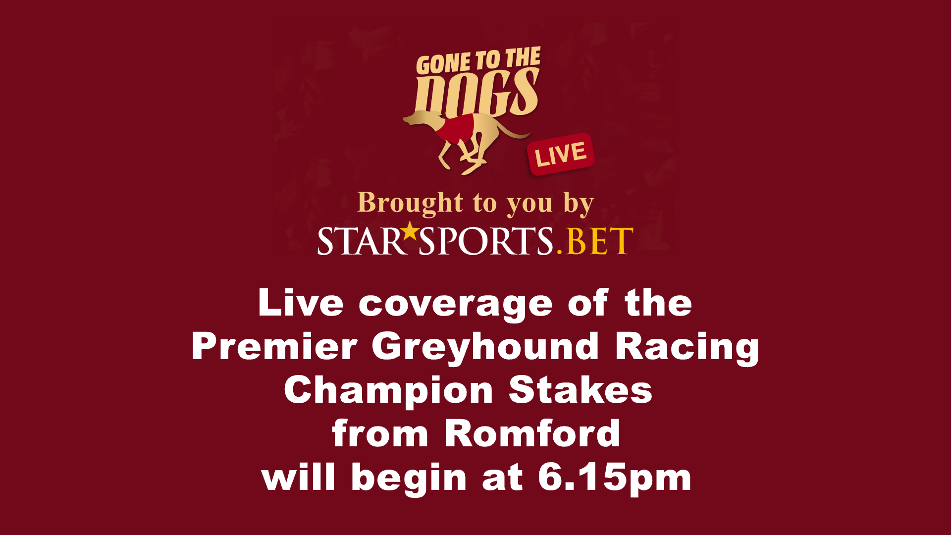 Gone To The Dogs heads to Romford Greyhound Star News from the