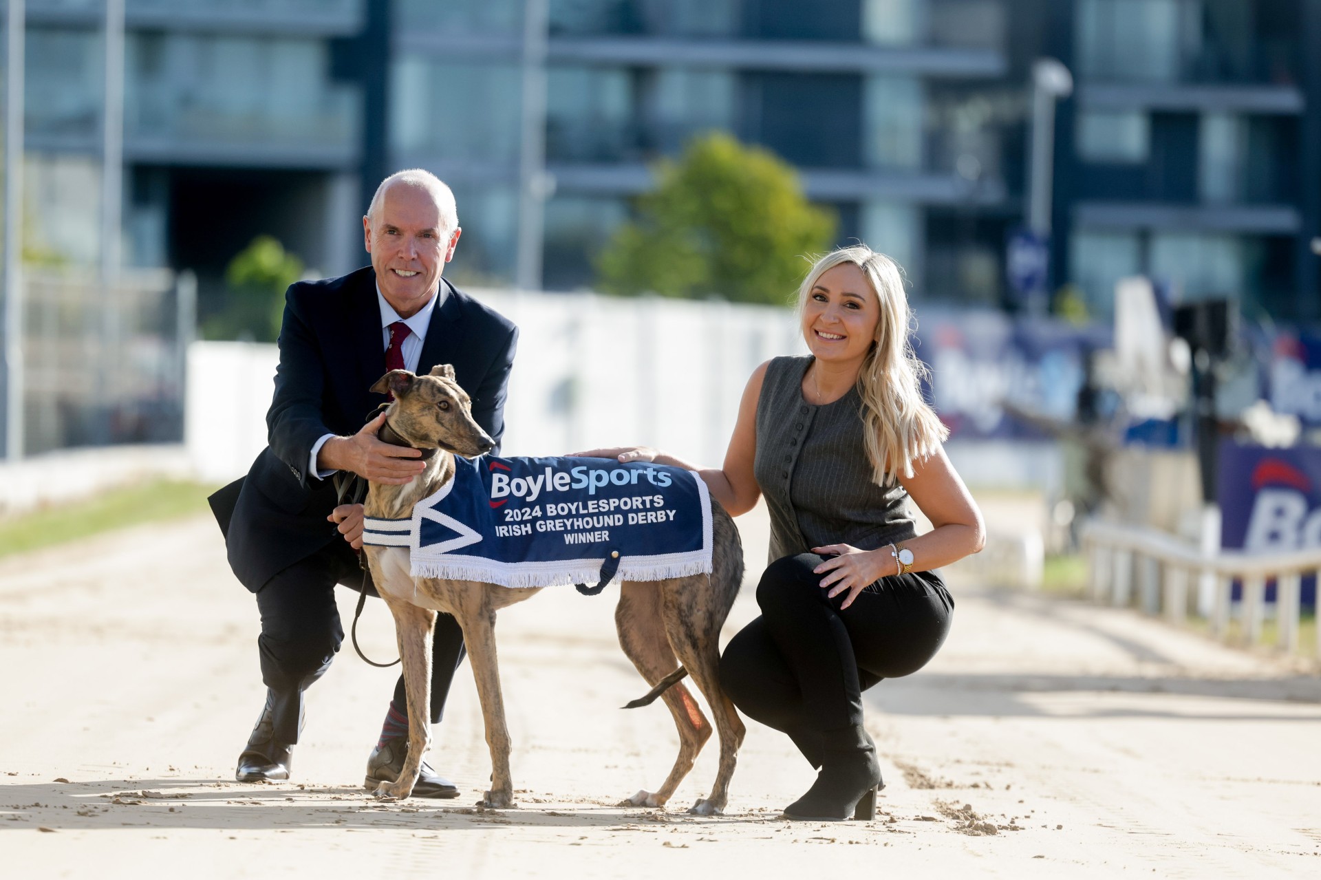 2024 Boylesports Irish Derby antepost preview Greyhound Star News